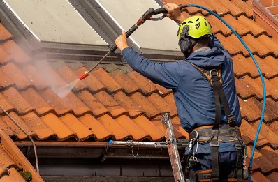 Démoussage et hydrofuge de toiture à Lignerolles